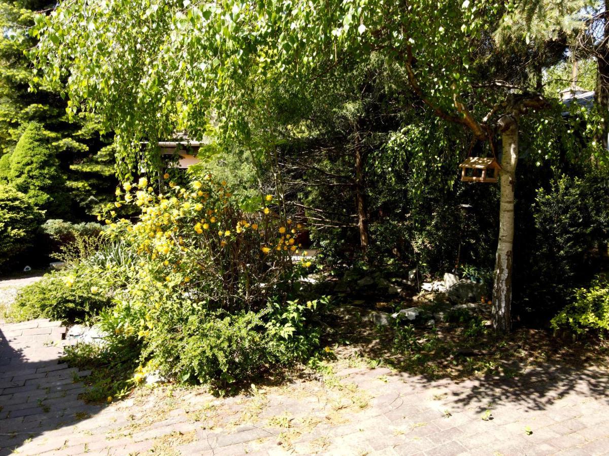 Pokoje Rezydencja Parysa Lublin Eksteriør bilde
